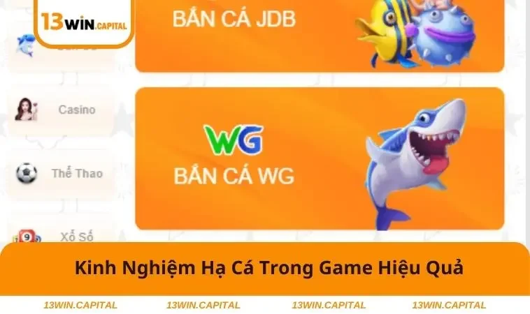 Bắn Cá 13WIN 3 Kinh nghiệm hạ cá 13WIN hiệu quả