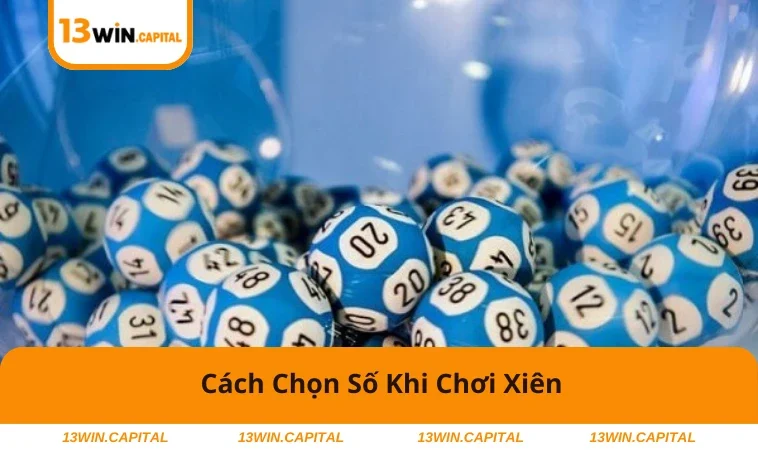 Người chơi chọn số dựa vào cầu, chu kỳ và trực giác.