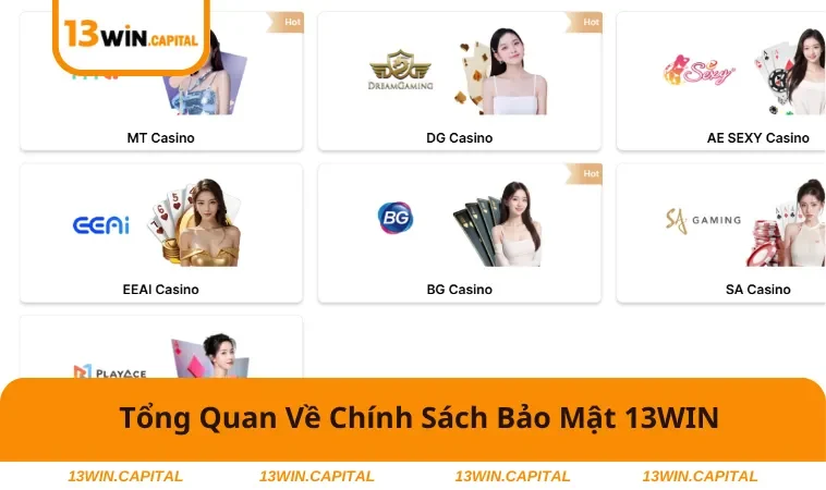 Chính Sách Bảo Mật 13WIN 1 Tổng quan nhất về chính sách bảo mật 13WIN