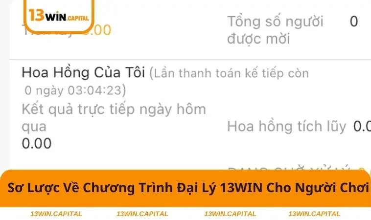Đôi điều sơ lược về chương trình đại lý 13WIN
