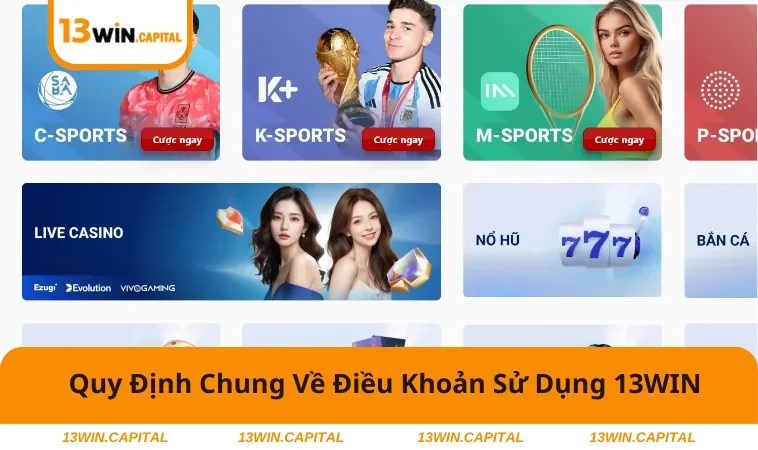 Nắm rõ những quy định chung về điều khoản tại nhà cái 13WIN