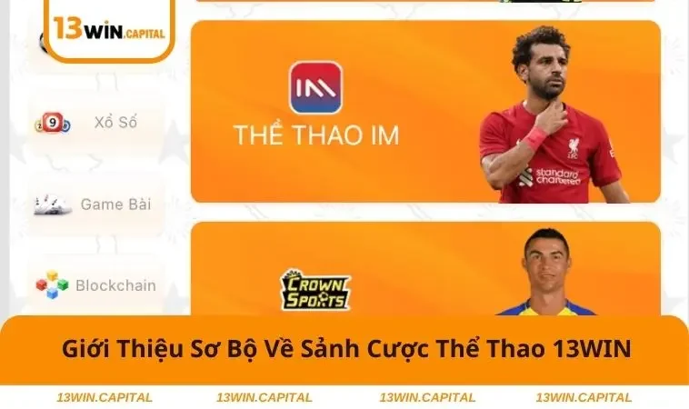 Thể Thao 13WIN 1 Đôi nét cơ bản về sảnh cược thể thao 13WIN đẳng cấp hiện nay
